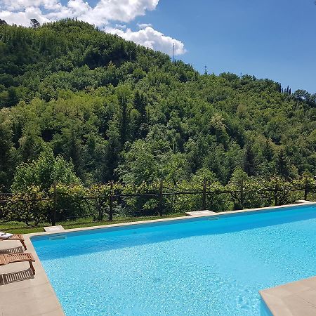 Il Bosco Di Campo Marzano Rooms & Apartments Borzonasca 外观 照片
