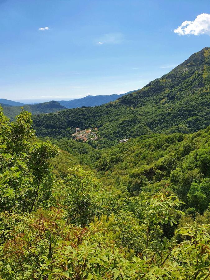 Il Bosco Di Campo Marzano Rooms & Apartments Borzonasca 外观 照片