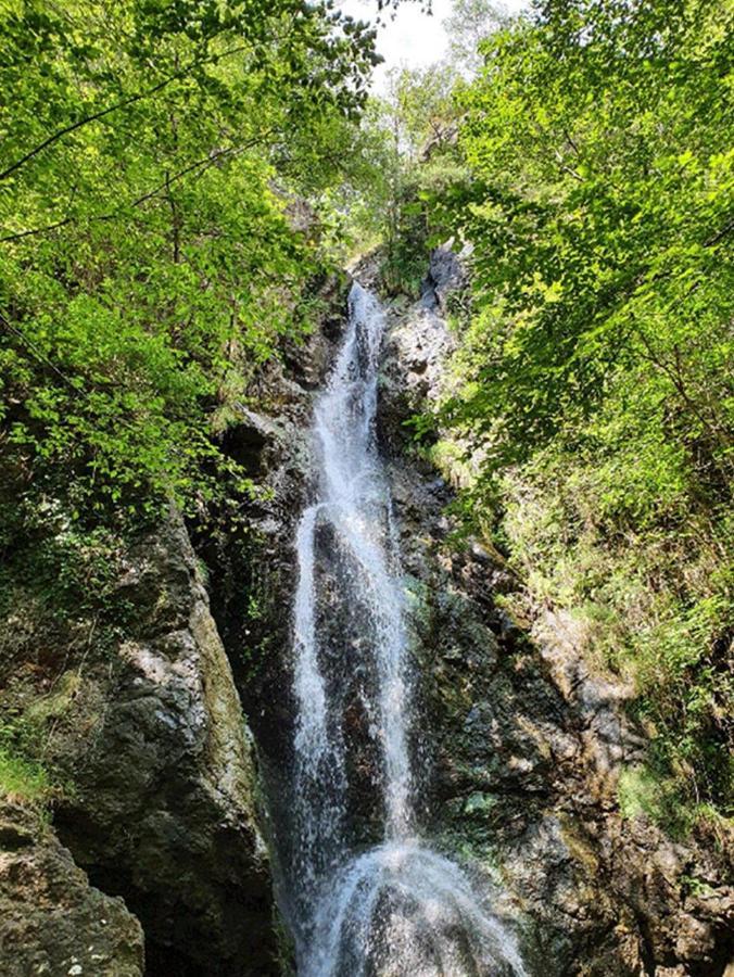 Il Bosco Di Campo Marzano Rooms & Apartments Borzonasca 外观 照片