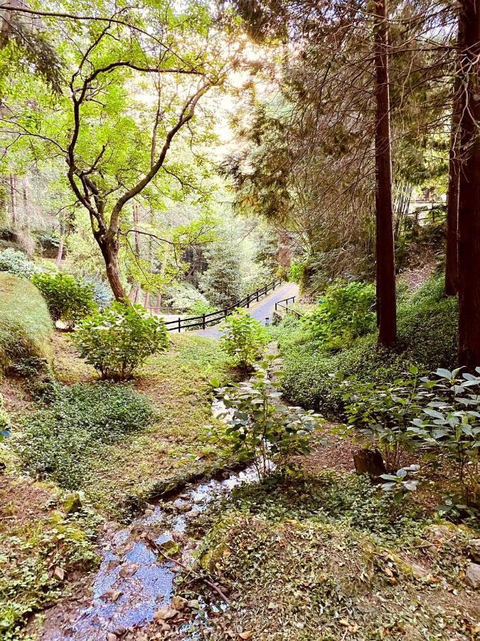 Il Bosco Di Campo Marzano Rooms & Apartments Borzonasca 外观 照片