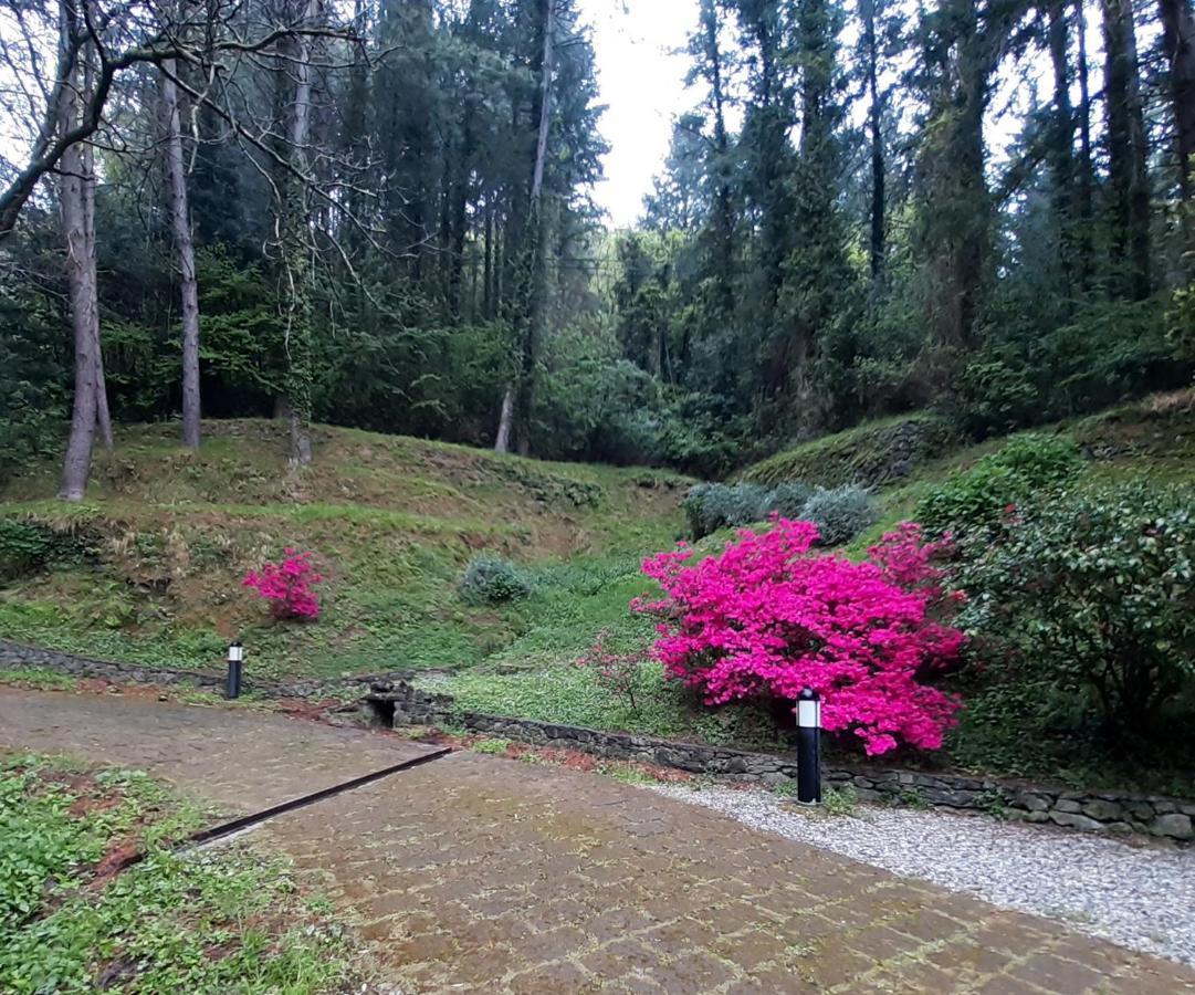 Il Bosco Di Campo Marzano Rooms & Apartments Borzonasca 外观 照片