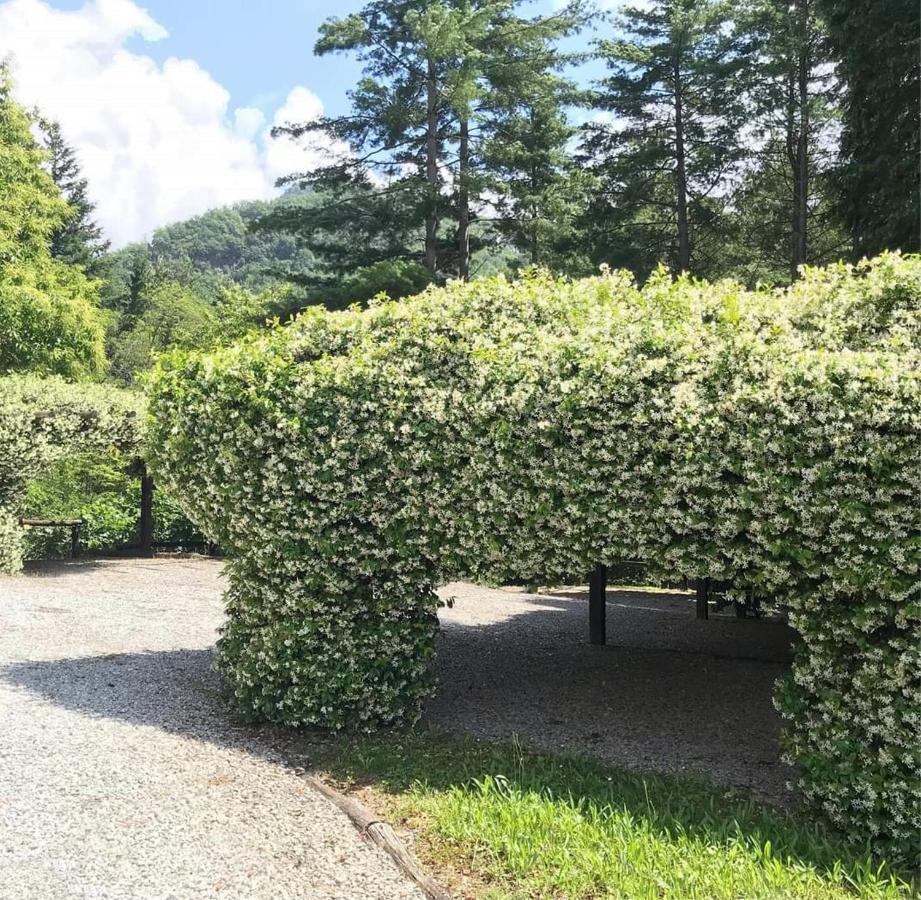 Il Bosco Di Campo Marzano Rooms & Apartments Borzonasca 外观 照片