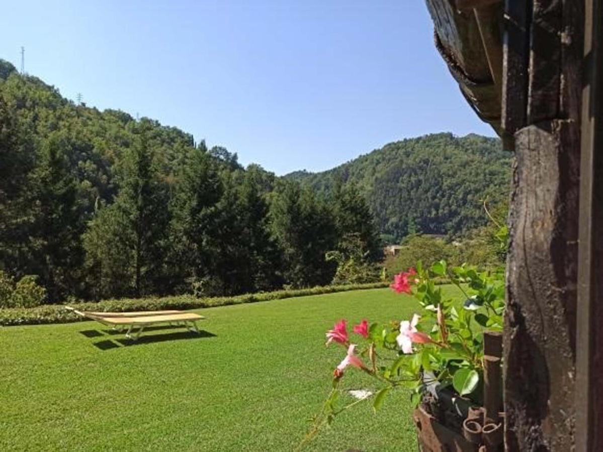 Il Bosco Di Campo Marzano Rooms & Apartments Borzonasca 外观 照片