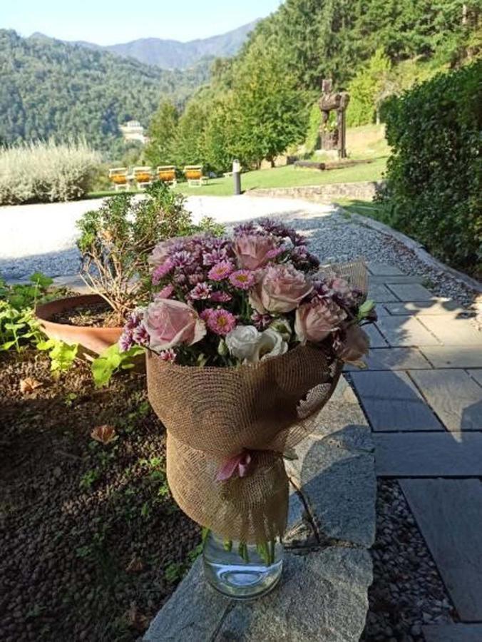 Il Bosco Di Campo Marzano Rooms & Apartments Borzonasca 外观 照片