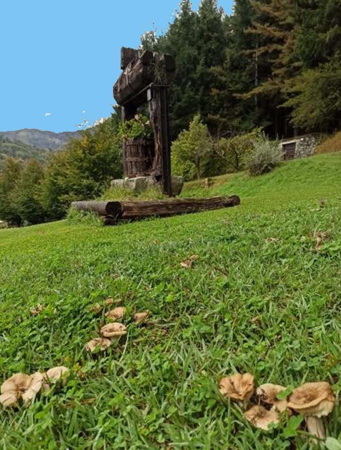 Il Bosco Di Campo Marzano Rooms & Apartments Borzonasca 外观 照片
