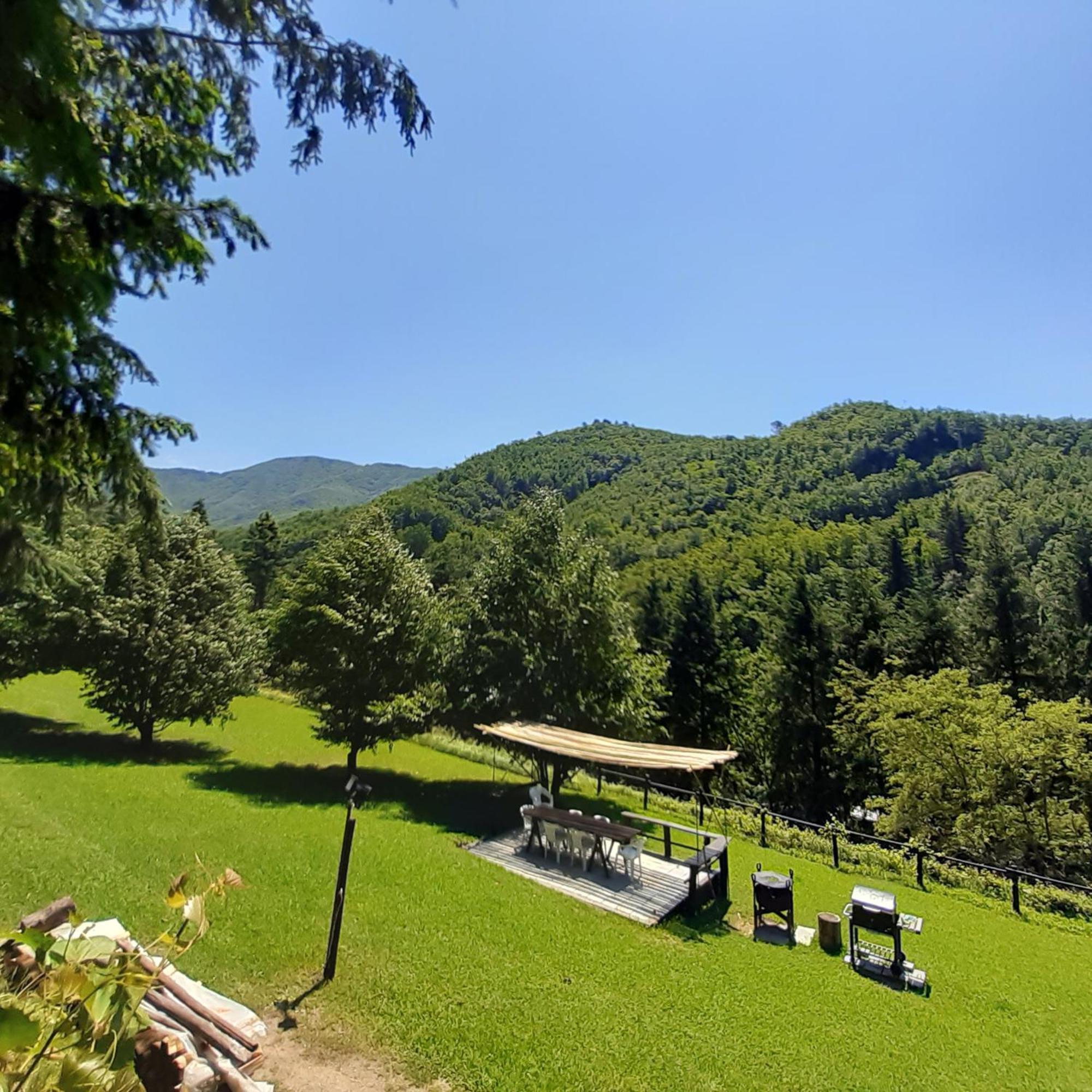Il Bosco Di Campo Marzano Rooms & Apartments Borzonasca 外观 照片