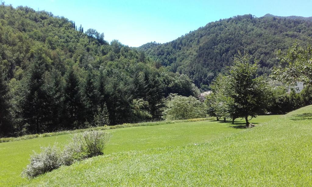 Il Bosco Di Campo Marzano Rooms & Apartments Borzonasca 外观 照片