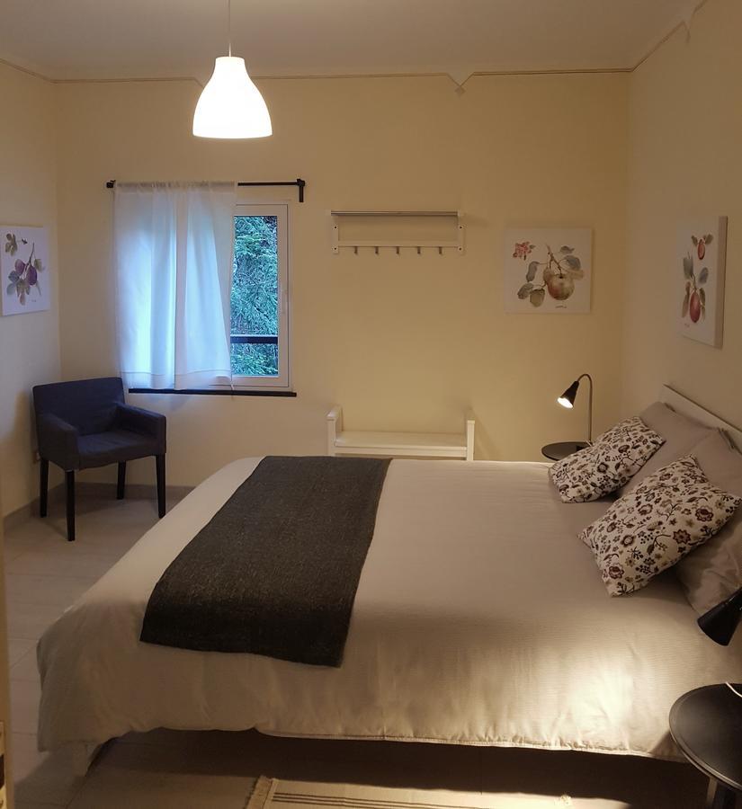 Il Bosco Di Campo Marzano Rooms & Apartments Borzonasca 外观 照片
