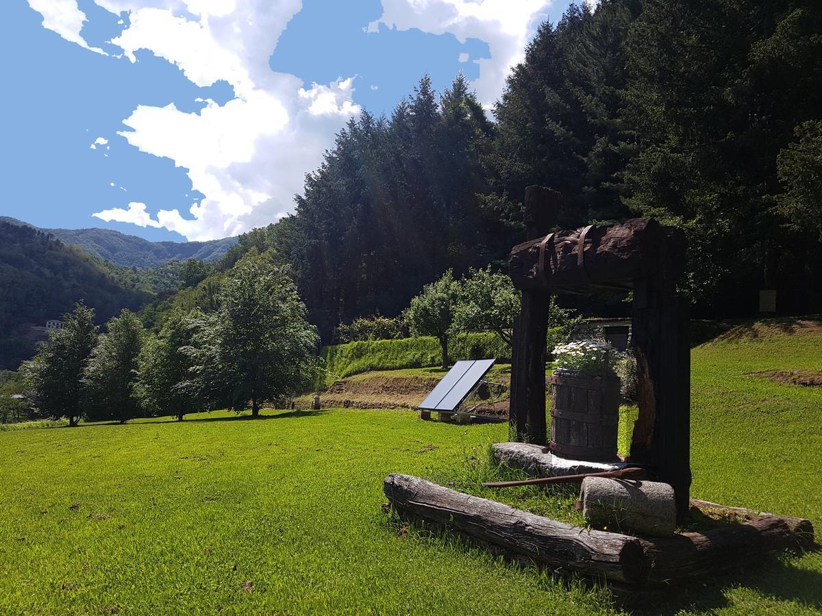 Il Bosco Di Campo Marzano Rooms & Apartments Borzonasca 外观 照片