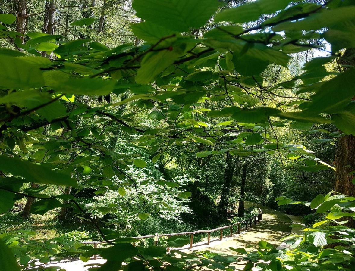 Il Bosco Di Campo Marzano Rooms & Apartments Borzonasca 外观 照片