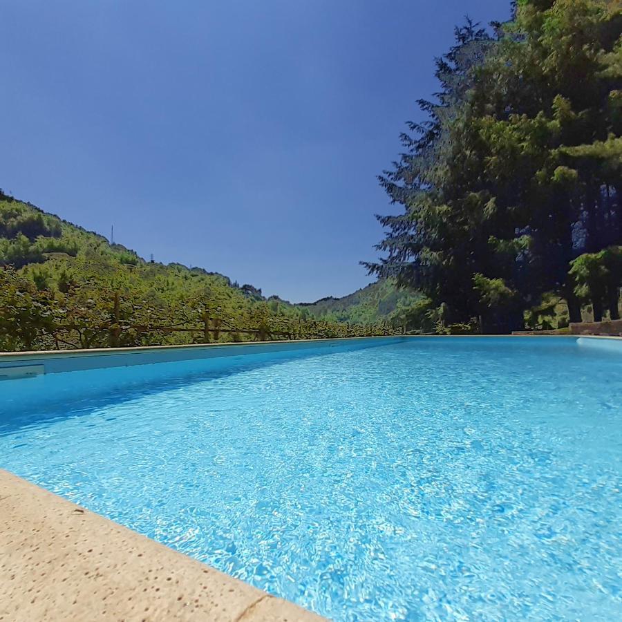 Il Bosco Di Campo Marzano Rooms & Apartments Borzonasca 外观 照片