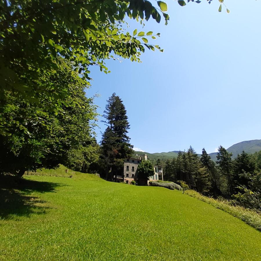 Il Bosco Di Campo Marzano Rooms & Apartments Borzonasca 外观 照片