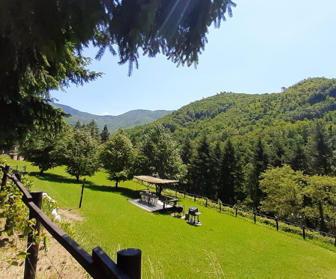Il Bosco Di Campo Marzano Rooms & Apartments Borzonasca 外观 照片